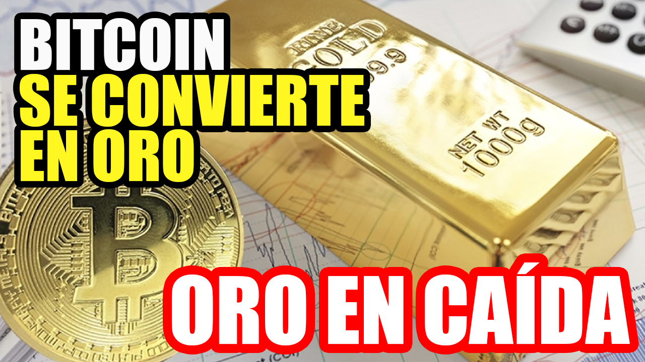 Bitcoin se convierte en ORO y las criptomonedas llegan a $1.6 Billones de capitalización