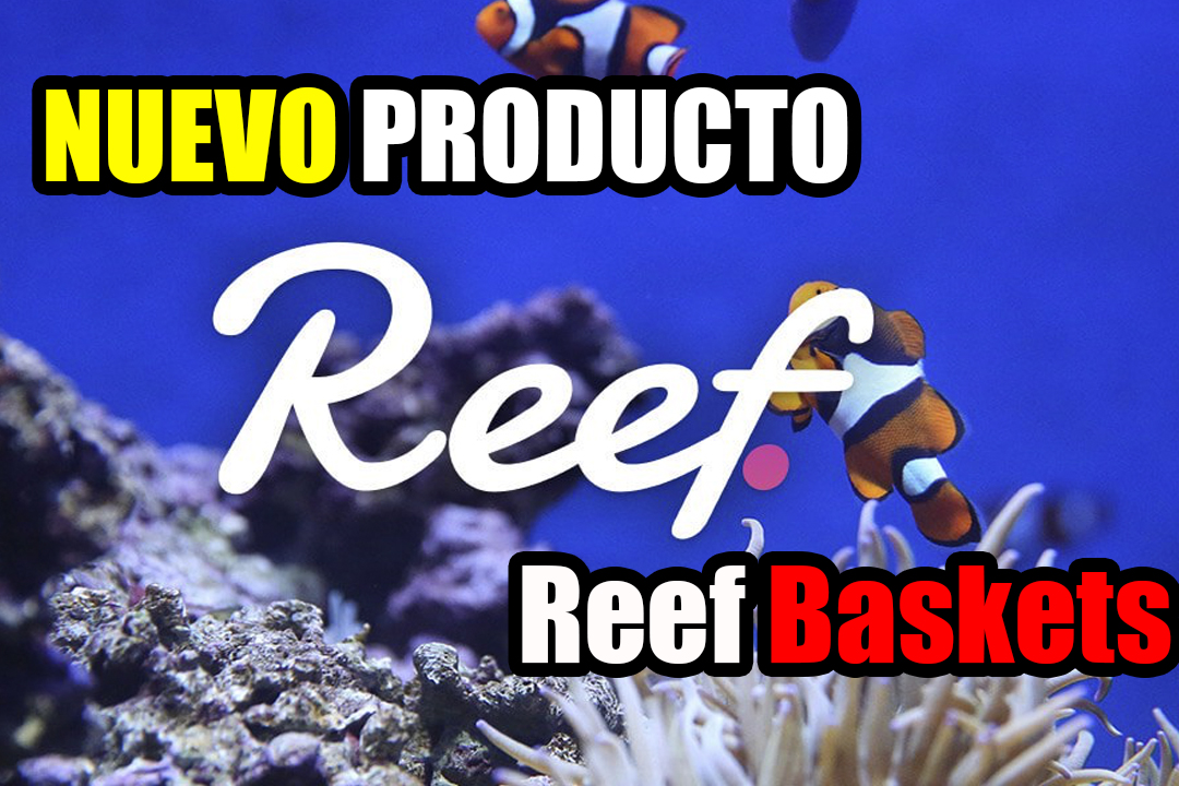 Reef Finance presenta un producto de canasta vinculado a inversiones de DeFi.