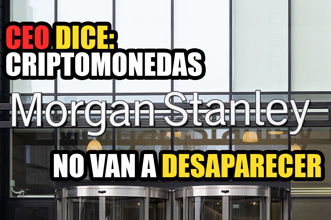 El CEO de Morgan Stanley dice que las criptomonedas ‘no van a desaparecer