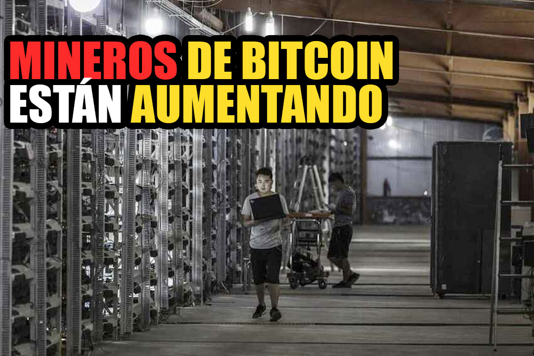 Mineros de Bitcoin están aumentando