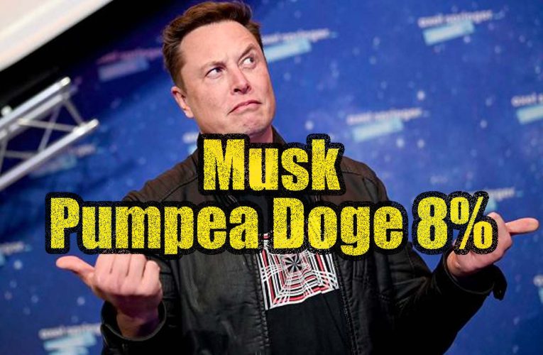 Elon Musk dice que seguirá apoyando Dogecoin y se dispara un 8%