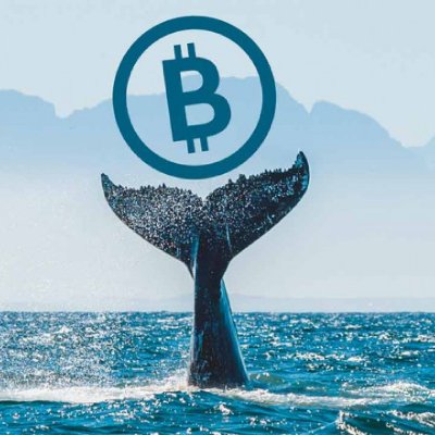 La quinta ballena más rica de Bitcoin recientemente hizo un movimiento de $ 6 mil millones en bitcoin